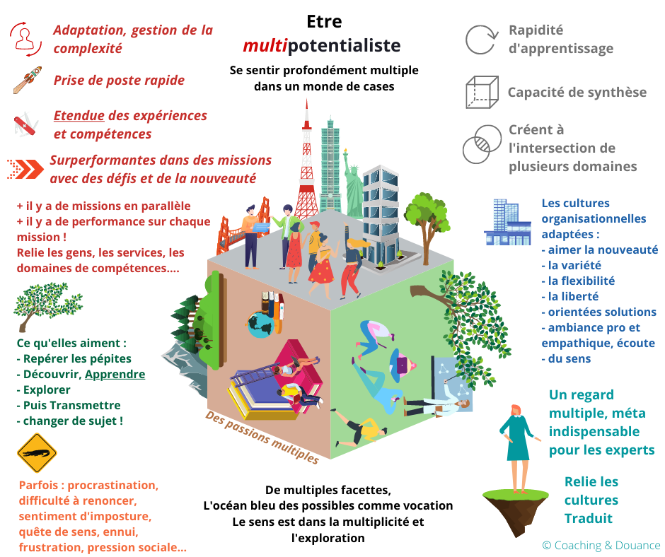 Infographie décrivant la personne multipotentielle : ses défis, ses zones d'excellences, ses talents, l'environnement professionnel qui lui convient